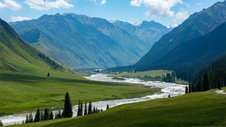 公司治理獲高度認(rèn)可！奇正藏藥入選中上協(xié)“最佳實(shí)踐案例”